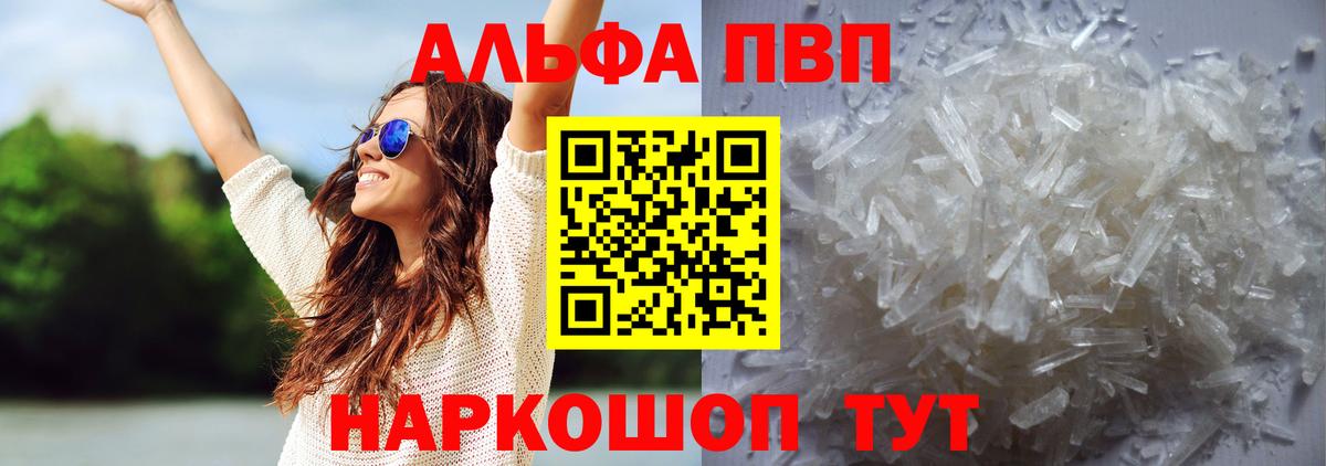 A PVP СК Саранск