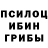 Галлюциногенные грибы прущие грибы Ahmad Aaf