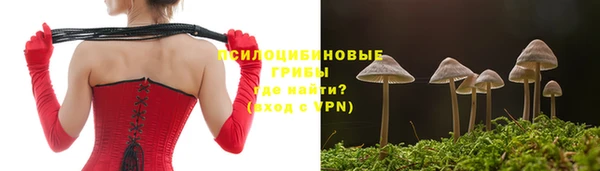бутик Новозыбков