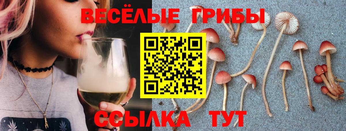 Саранск  Псилоцибиновые грибы мицелий  Галлюциногенные грибы Magic Shrooms  Вход с VPN 