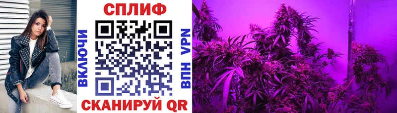 наркотики  Саранск  Каннабис Ganja 